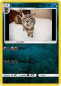 MEOW