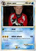 kitten carer