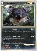 Dropbear