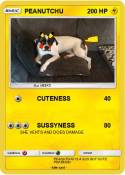 PEANUTCHU