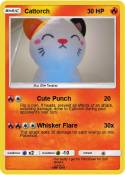 Cattorch