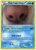 Cold Puppy Nose