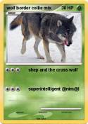 wolf border