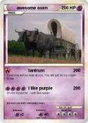 awesome oxen