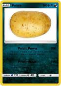 Potato
