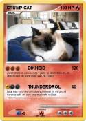 GRUMP CAT