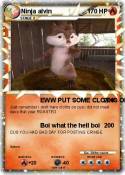 Ninja alvin