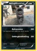 MyDogWhoIsCute