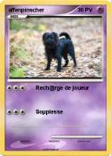 affenpinscher