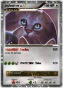jayfeather
