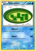 Chloroplasts
