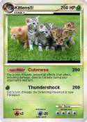Kittens!!!