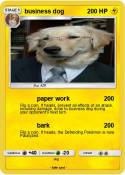 business dog
