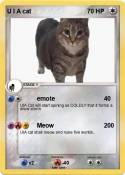 U I A cat