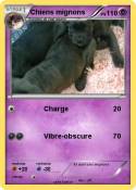 Chiens mignons
