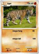 tiger
