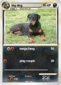 big dog