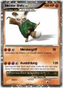 Meister Shifu