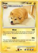 Doge