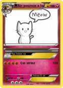 Sir pounce a