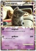 chat mignon