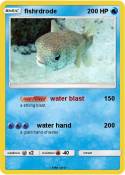 fishrdrode