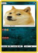 Doge