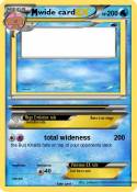 wide card
