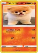 THE CUTE FLUFFY