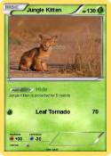 Jungle Kitten
