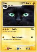 Chat