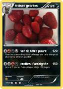 fraises geantes