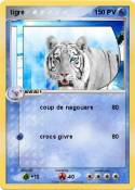 tigre