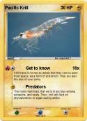 Pacific Krill