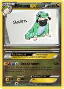 fat pug