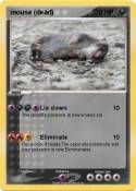 mouse (dead)