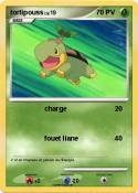 tortipouss