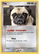 Pug