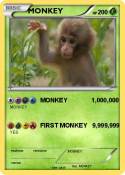 MONKEY