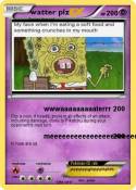 watter plz