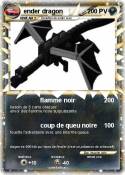 ender dragon