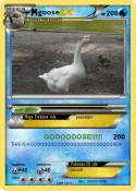 goose