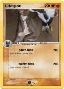 kicking cat