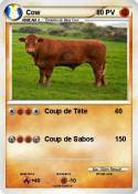 Cow