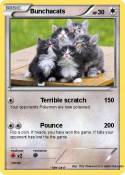 Bunchacats