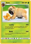 Bark