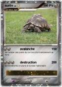 surtle