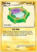Cell Wall