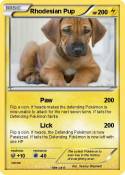 Rhodesian Pup