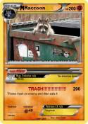 Raccoon